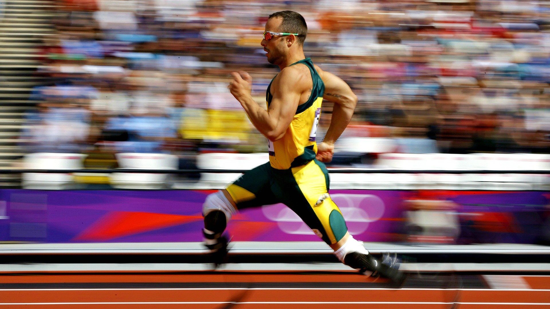 爱游戏体育在线-体育公益项目持续扩大影响,体育方面的公益慈善活动